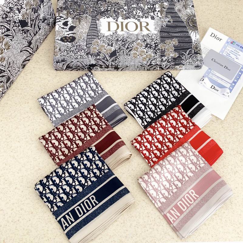 Dior Silk Scarf