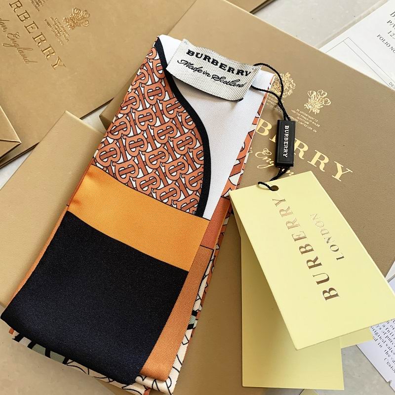 Burberry silk ribbon E012223