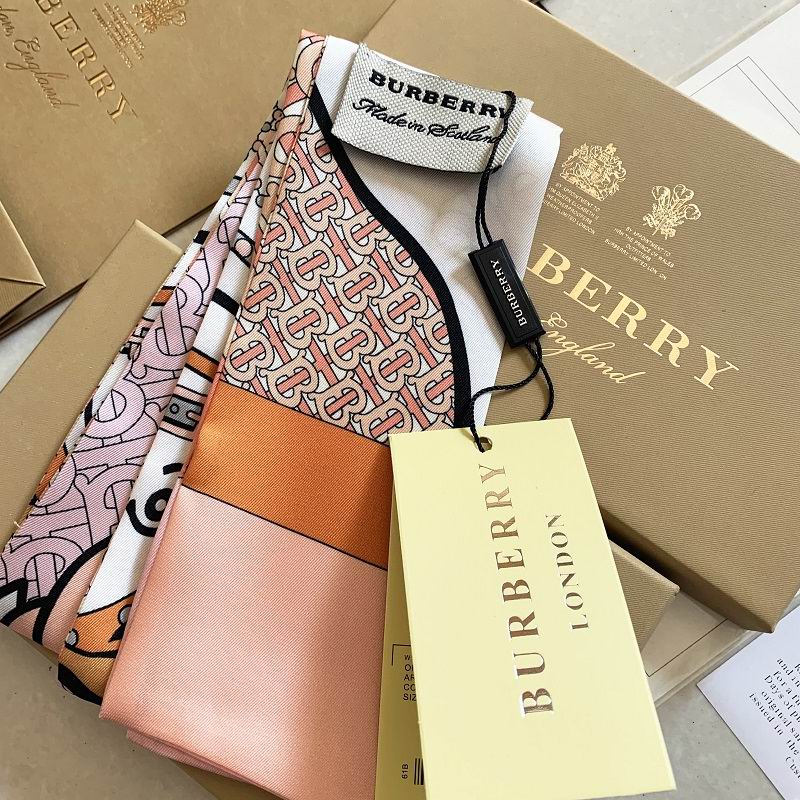Burberry silk ribbon E012223